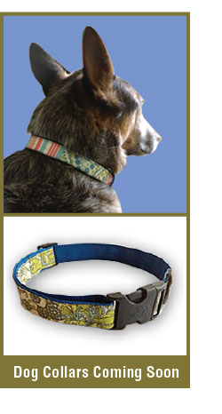 Dog Collars Coming Soon