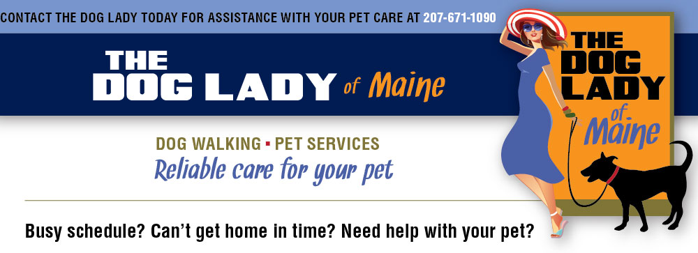The Dog Lady of Maine